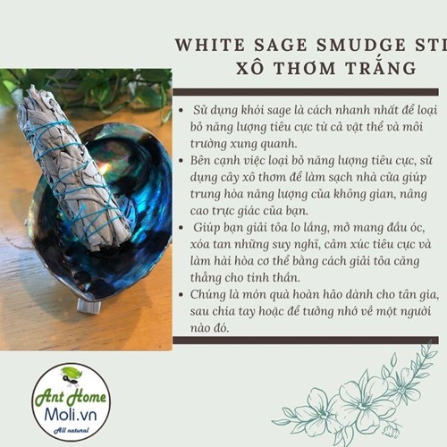 (Free ship) Combo 2 bó xô thơm trắng 40gr/bó