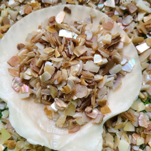 Cát xà cừ thô 100gr